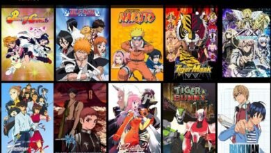 animerulz apk download