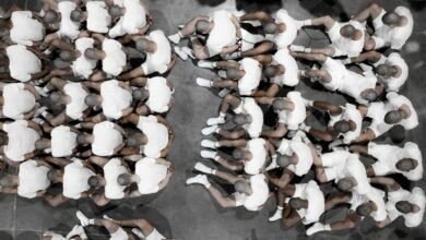 The administration asks the Supreme Court to lift the blockade of judge on deportations under the law of alien enemies