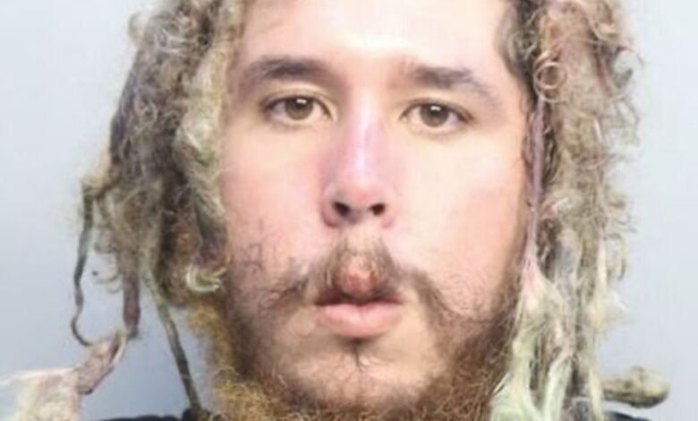 Florida man accused after allegedly bringing 'small arsenal' on the Amtrak train, says the police