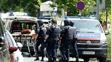 At least 9 dead in the shooting at the Austrian school, along with alleged shooter, says the mayor