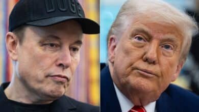 'Crazy': Trump and Musk Feud explode on social networks