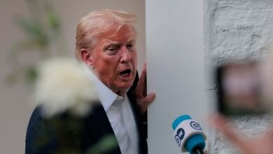 Trump's comments about Epstein ask new questions about when and why they fell