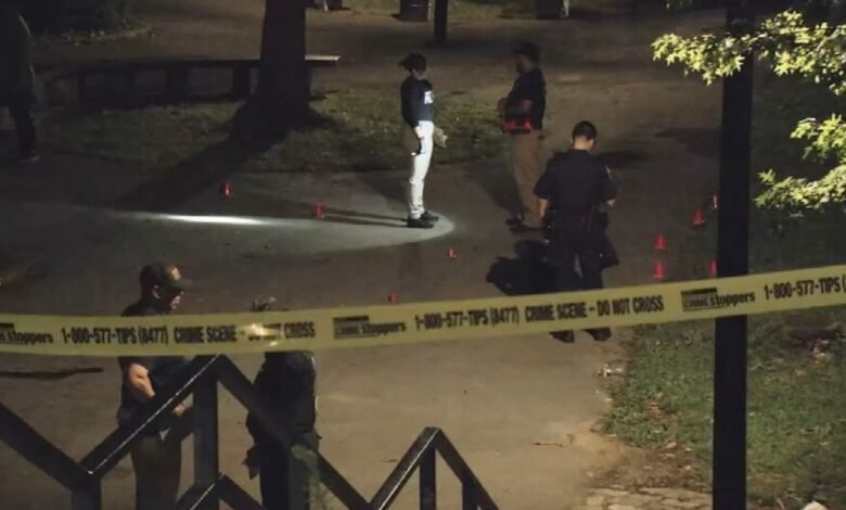 5 shots, 1 fatally, while multiple gunmen open fire in New York City Park: NYPD