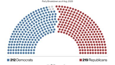 Redistribution of Texas districts: What is at stake as Republicans aim to collect 5 seats in the house?