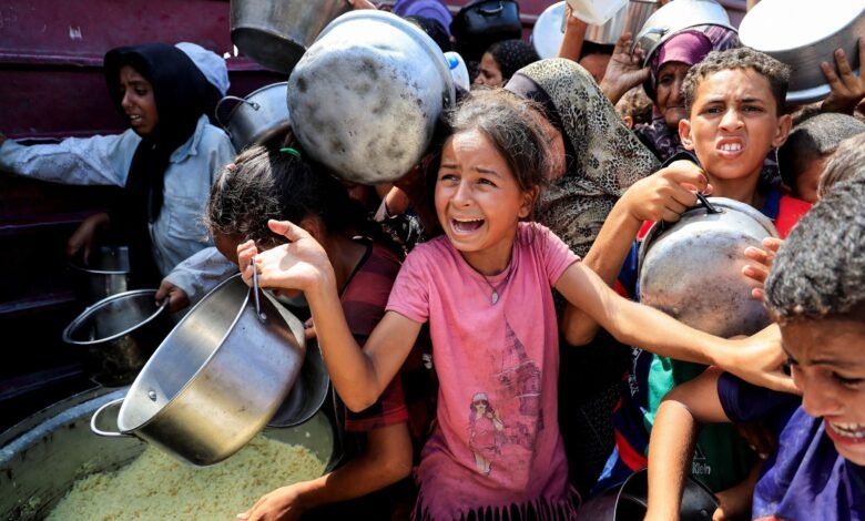 The hungry determined in parts of Gaza, 500,000 experimenting 'catastrophic' hunger: report