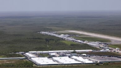 The immigration installation 'Aligator Alcatraz' will not have detained in the next few days, says Florida official