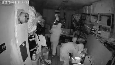 Thousands of dollars in stolen labubus as the popularity of the toy continues to increase