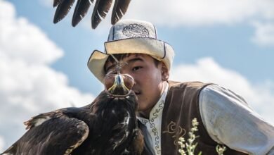 salvar video do tiktok