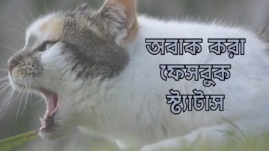 অবাক করা ফেসবুক স্ট্যাটাস