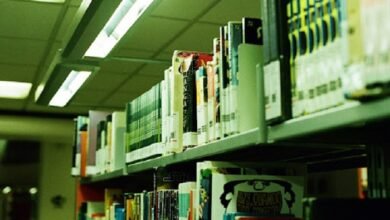 Knowledge Management