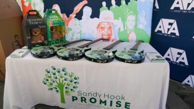 Possible shooting at school avoided with Sandy Hook Tip Line: Police