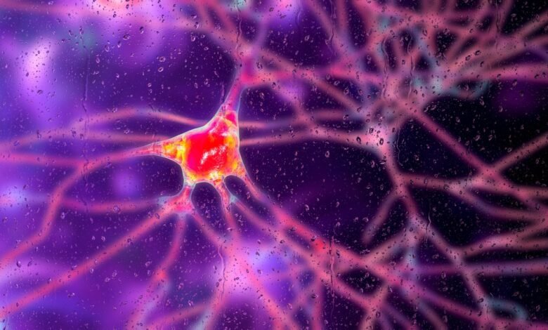 Photo: Dementia neurons, conceptual illustration