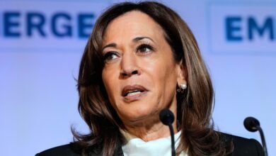 'Reckless': Kamala Harris turns on to Joe Biden in a new book