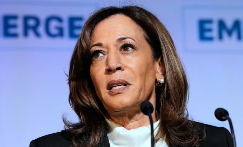 'Reckless': Kamala Harris turns on to Joe Biden in a new book