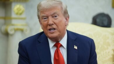 Trump calls Epstein 'irrelevant' files while Massie Petition collects Steam