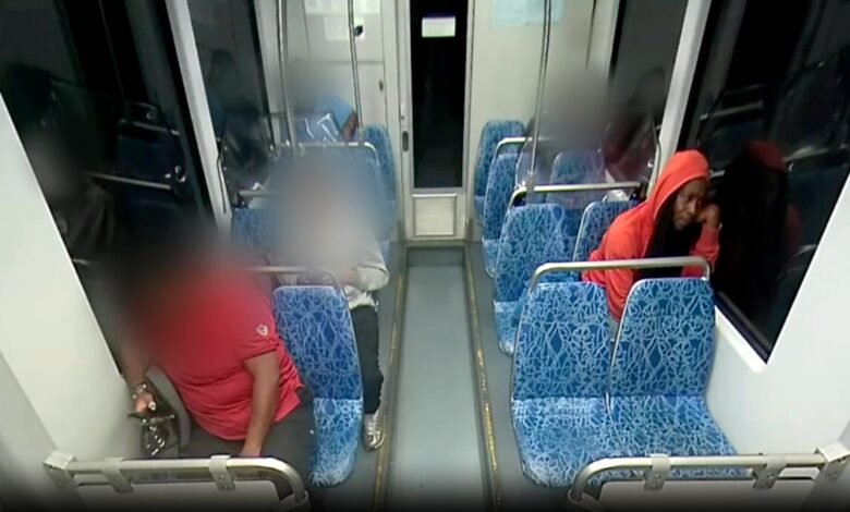 911 calls released in Charlotte Light Rail Stabbing: 'People are going crazy'