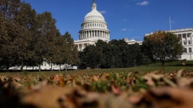 Americans Increasingly Worried About Government Shutdown, Blaming Republicans and Trump More Than Democrats: Poll