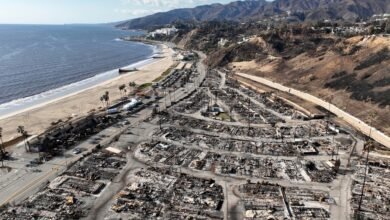 Arrested man, faces federal charges in relation to Palisades Fire: doj