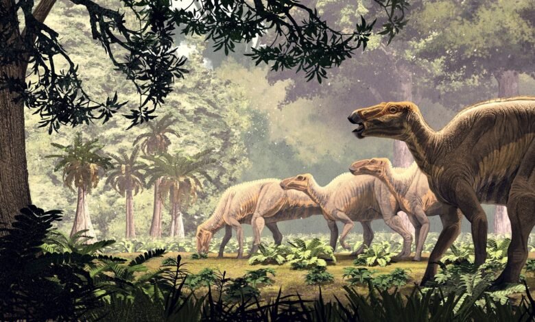 'Incredibly preserved' dinosaur 'mummies' discovered in Wyoming have skin and hooves