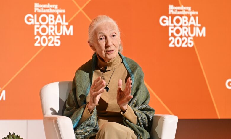 Jane Goodall, famous primatologist and conservationist, dies at 91