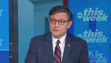 Johnson defends calling the anti-Trump protests demonstrations of "hatred of the United States"