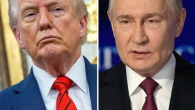 No plans for Trump, Putin to meet in 'immediate future', White House official says