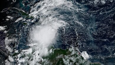 Tropical Storm Melissa targets the Caribbean: latest forecast