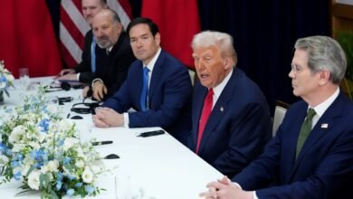 What the US-China deal means for rare earths, soybean farmers and TikTok