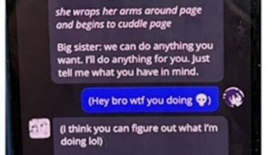 Dangers of AI chatbots: Are there enough safety barriers to protect children and other vulnerable people?