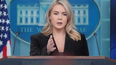 ICE arrests woman with family connection to White House press secretary Karoline Leavitt