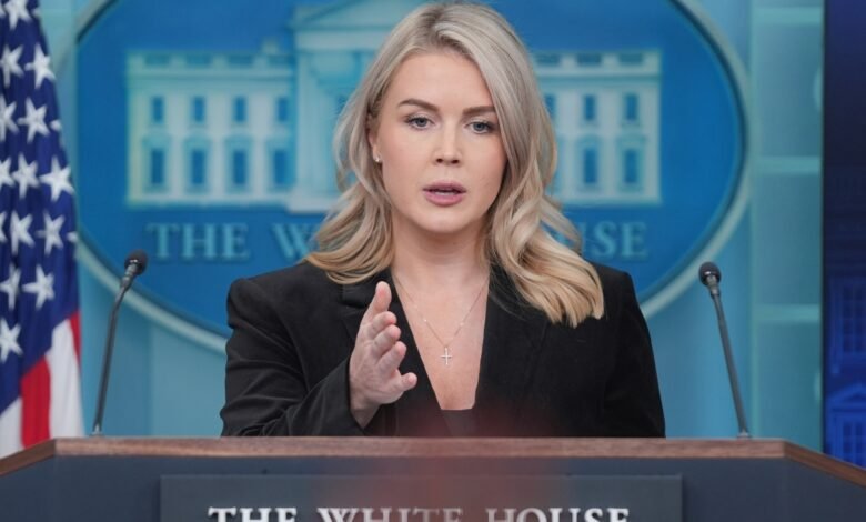 ICE arrests woman with family connection to White House press secretary Karoline Leavitt