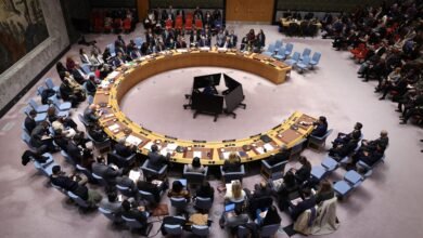 Israel-Gaza Live Updates: Trump Celebrates 'Historic' UN Security Council Vote in Gaza