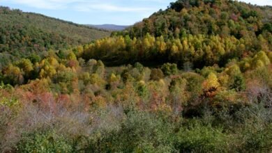 Missing West Virginia coal miner found dead after nearly a week trapped underground: Governor