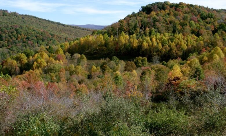 Missing West Virginia coal miner found dead after nearly a week trapped underground: Governor