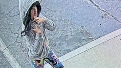 Mother of missing girl Melodee Buzzard changed plates during road trip: officials