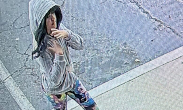 Mother of missing girl Melodee Buzzard changed plates during road trip: officials