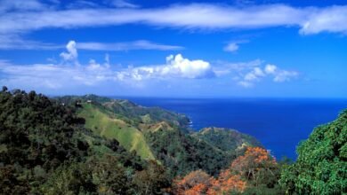 Police investigate after American man found fatally stabbed in Tobago