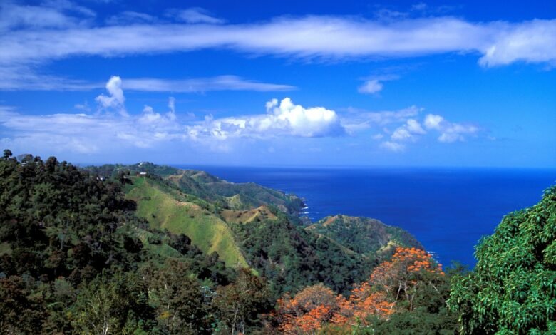 Police investigate after American man found fatally stabbed in Tobago