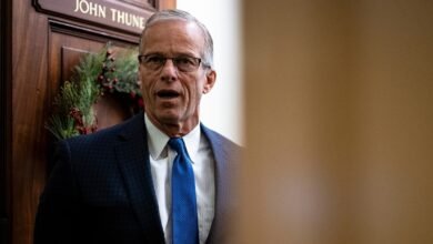 PHOTO: Senate Majority Leader John Thune speaks to reporters after the Senate passed the House resolution to force the release of Justice Department files on deceased convicted sex offender Jeffrey Epstein in Washington, Nov. 18, 2025.