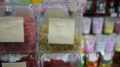 PHOTO: Aurora code application