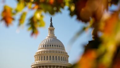 With one year to go until Election Day 2026, Tuesday's results could shape the 2026 midterms