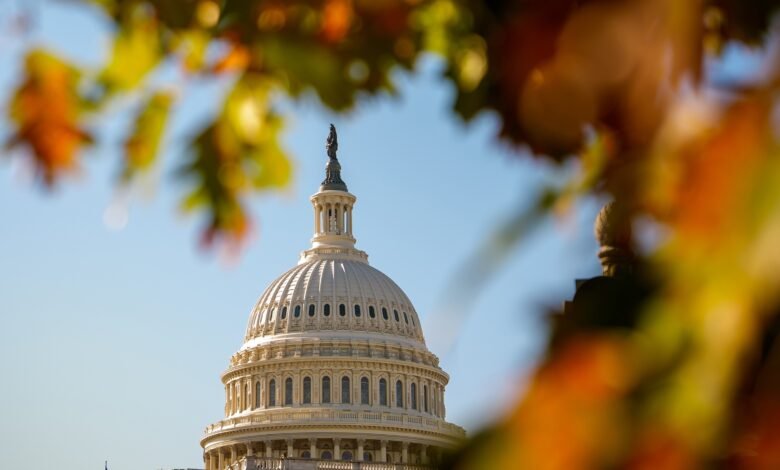 With one year to go until Election Day 2026, Tuesday's results could shape the 2026 midterms