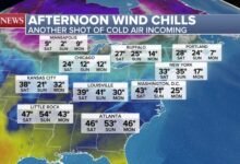 PHOTO: afternoon chills