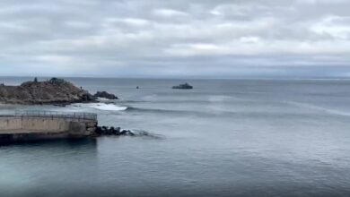 Body discovered after swimmer goes missing in possible shark attack in California