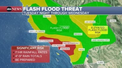 Christmas weather forecast: Will there be a white Christmas?