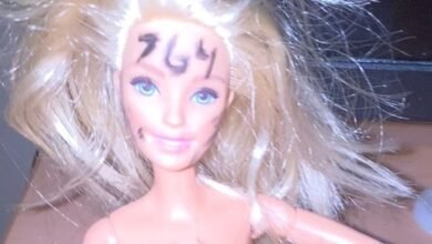 In rare public comments, career Justice Department officials offer chilling warnings about online network 764