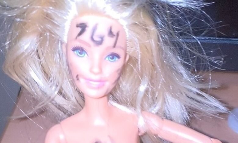 In rare public comments, career Justice Department officials offer chilling warnings about online network 764