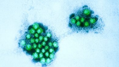 Norovirus cases rise in Los Angeles County: health officials