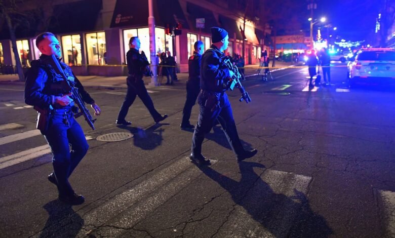 Person of interest in custody after fatal shooting at Brown University, official says