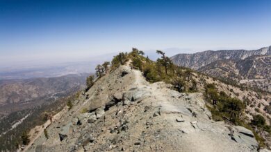Three hikers found dead during search and rescue efforts on Mount Baldy in California, authorities say